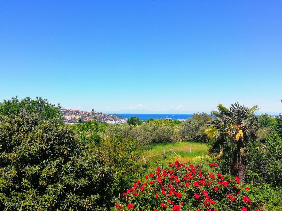 Peaceful View Apartment Копер Экстерьер фото