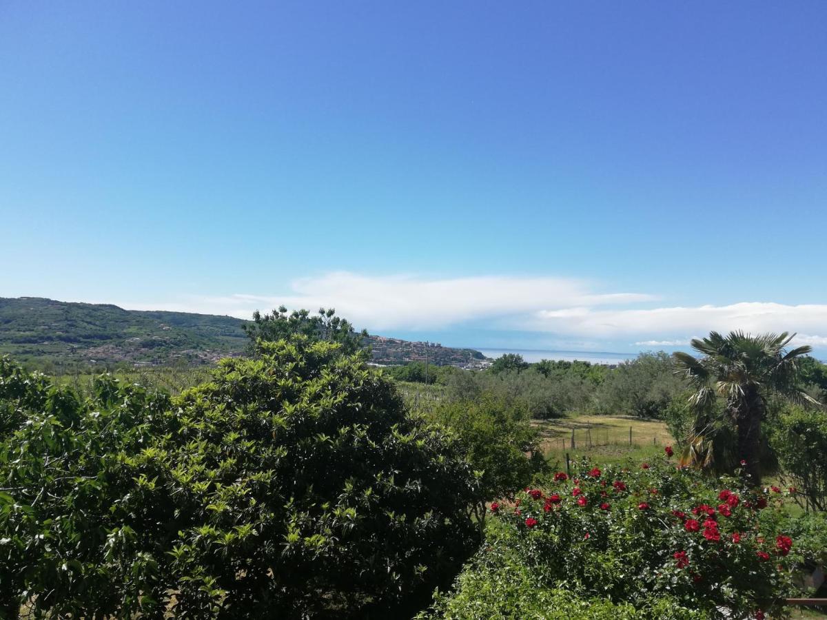Peaceful View Apartment Копер Экстерьер фото