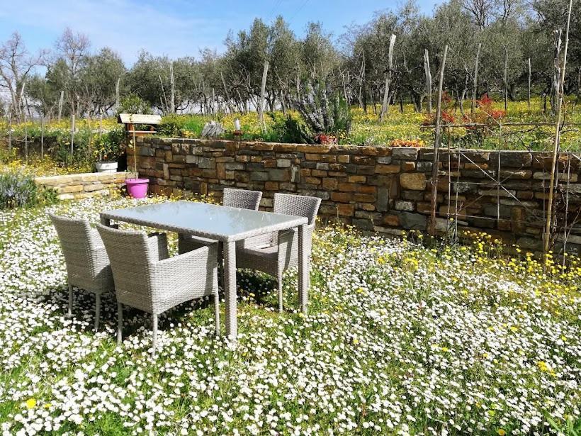 Peaceful View Apartment Копер Экстерьер фото